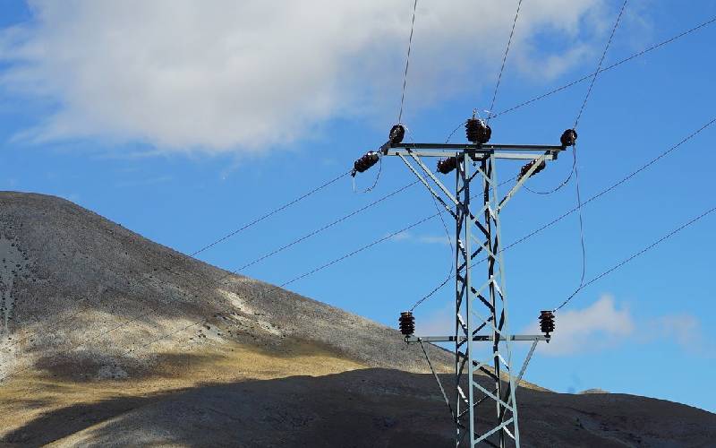 Agenzia dogane energia