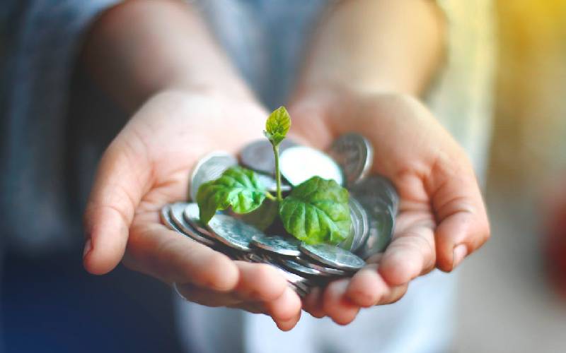 Criteri esg bilancio sostenibilità