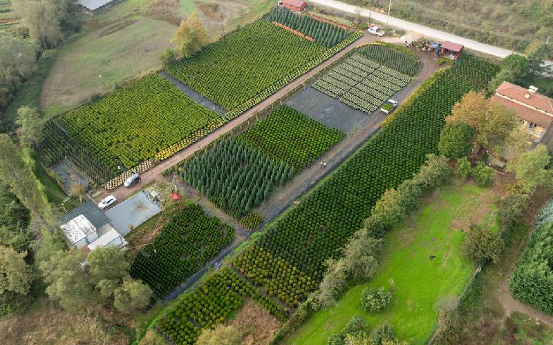 igp non agri regolamento